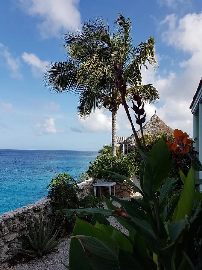 Apt 8A Lagoon Ocean Resort Curacao Lagun キュラソー