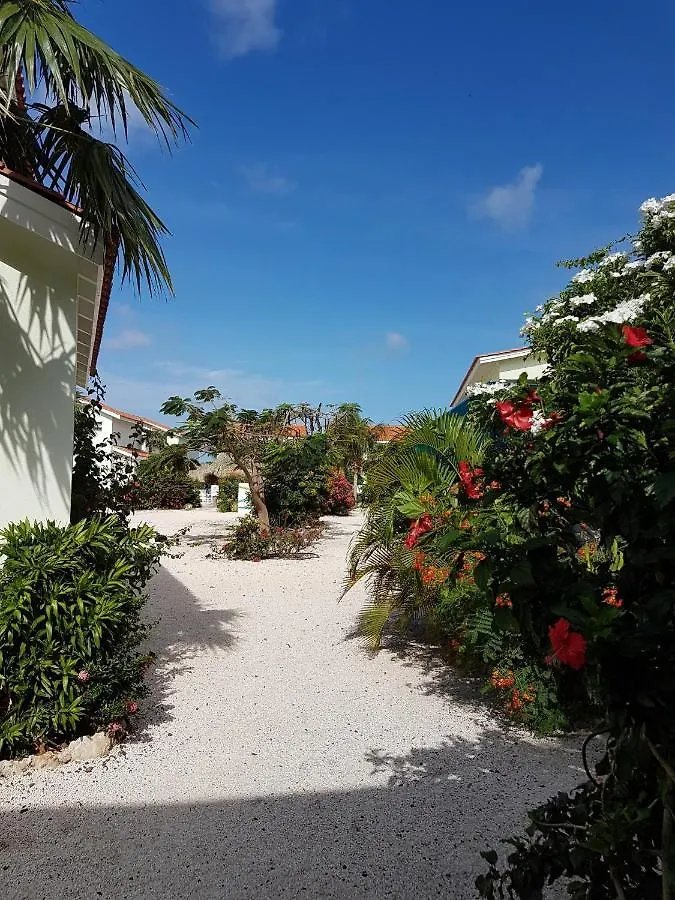 Apt 8A Lagoon Ocean Resort Curacao Lagun 0*,  キュラソー