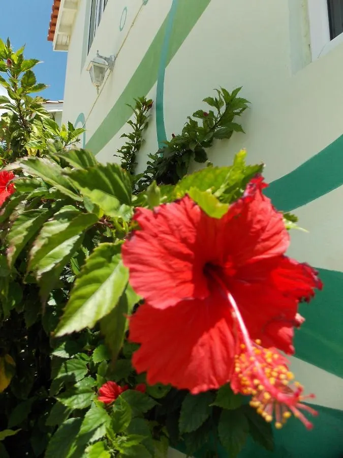Apt 8A Lagoon Ocean Resort Curacao Lagun Apartment